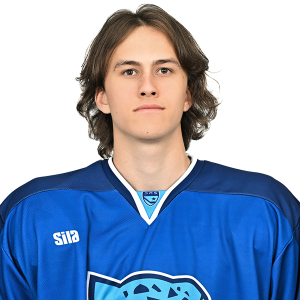 МИХАЭЛЬ ДЕППЕРШМИДТ