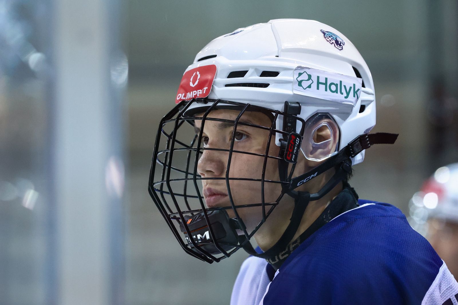 WhatsApp Image 2026-03-19 at 12.56.48.jpeg