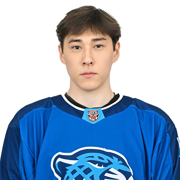 АМИР АЛПКАРИН