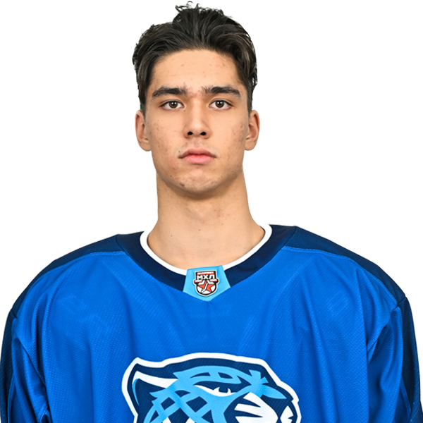 МСТИСЛАВ ШИПИЛИН