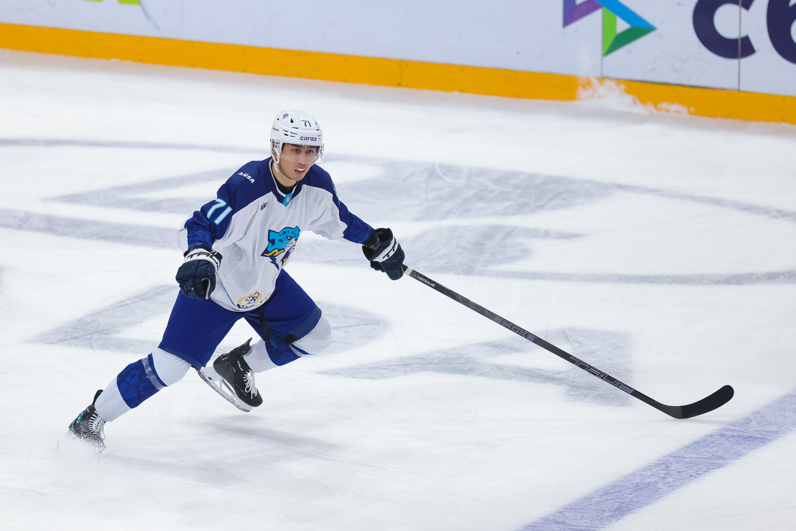 SH3_3925.jpg SH3_3925.jpg