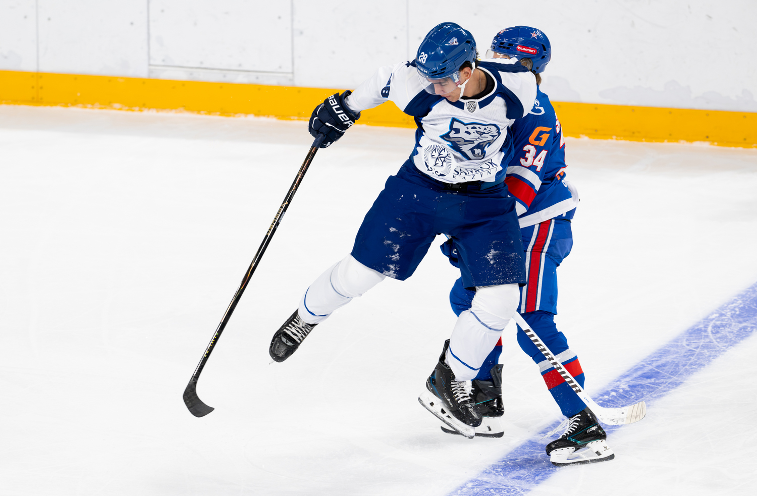 ska-barys_FSD-6194.jpg