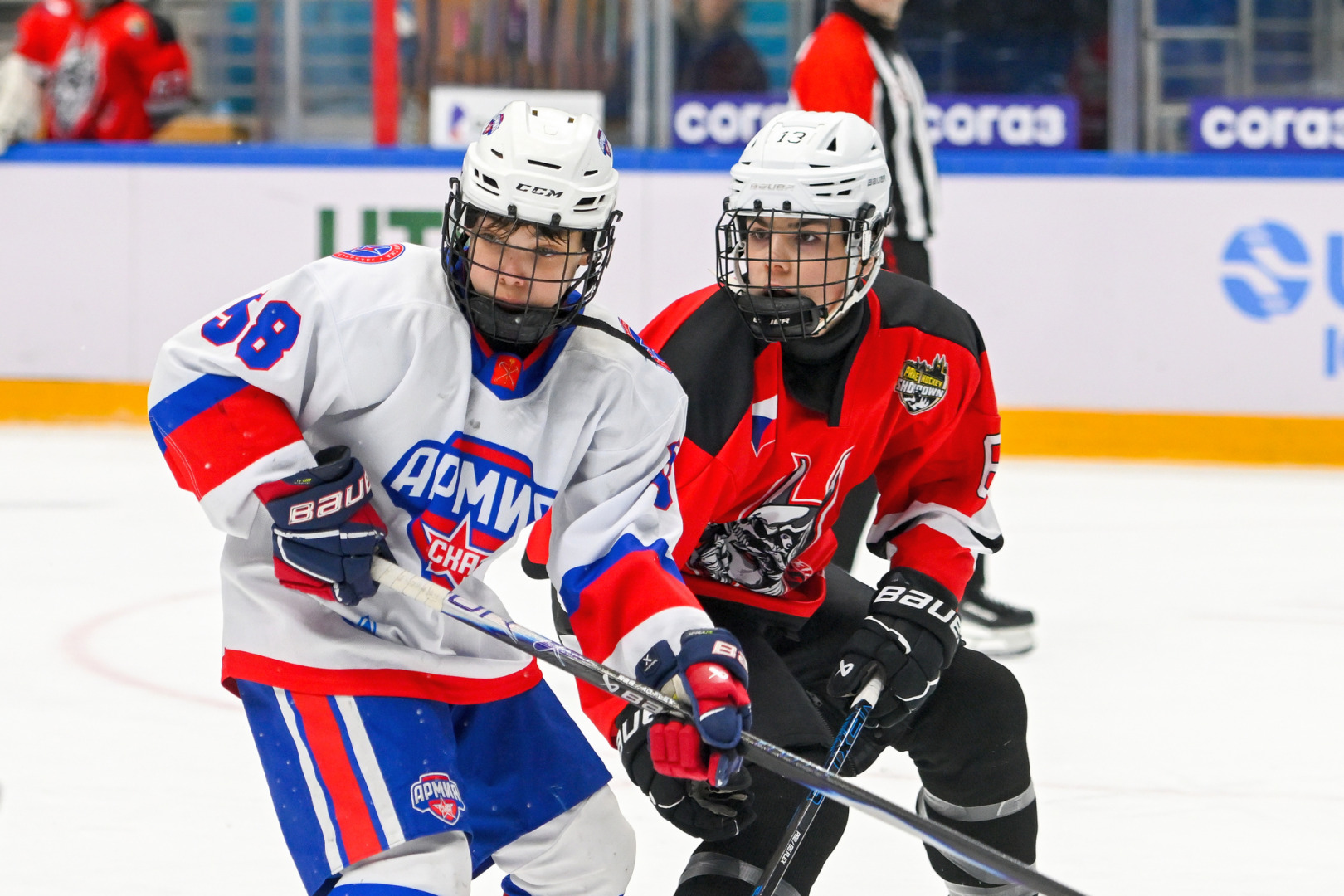 DSC_9321.jpg DSC_9321.jpg