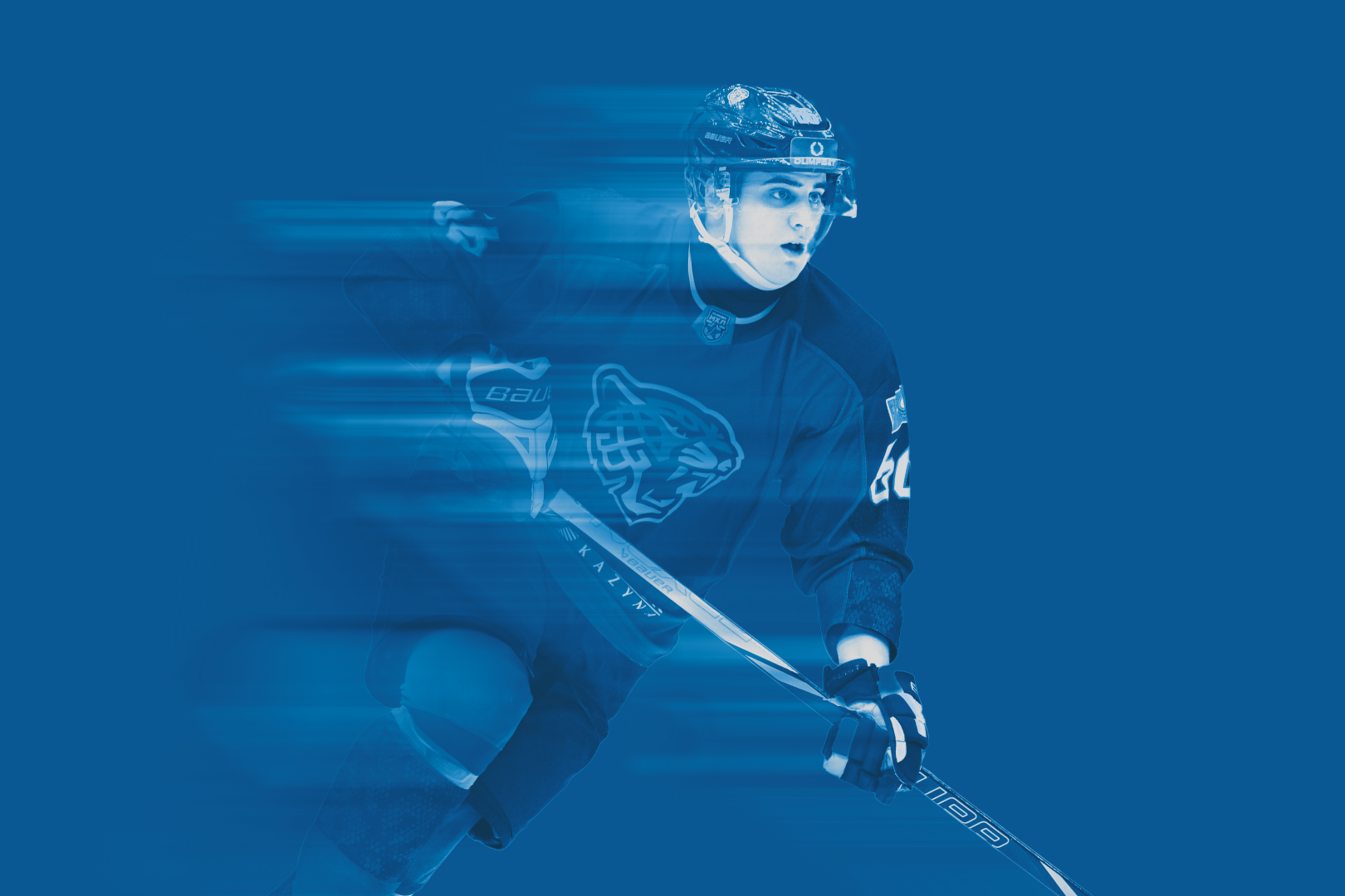 шева.png шева.png