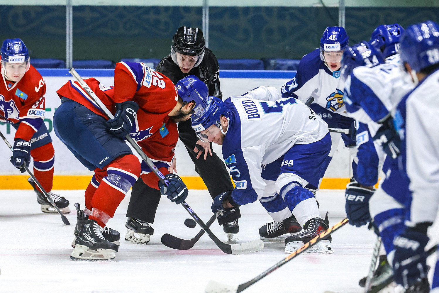 Арлан - Номад