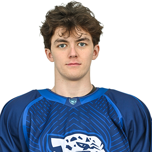 АМИР ГАФУРОВ