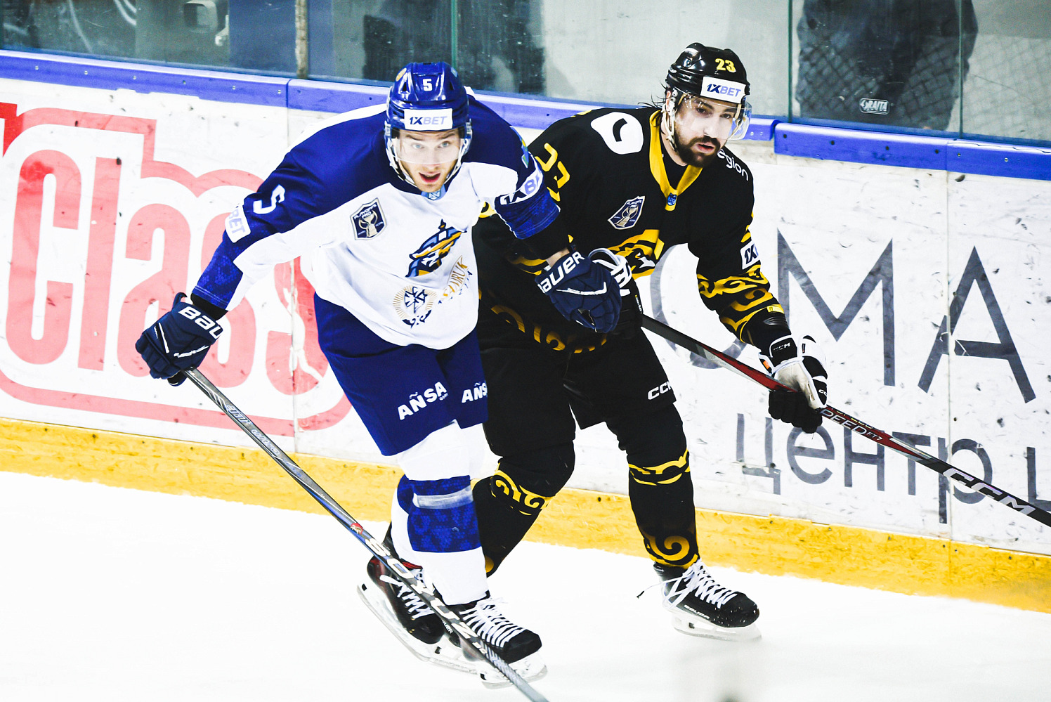 Сарыарка - Номад