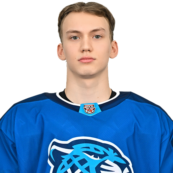 АНДРЕЙ ЦЕРУЛЬНИКОВ