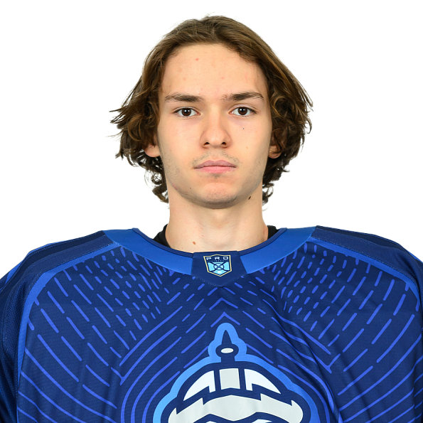АРТЕМИЙ ПЕРМЯКОВ