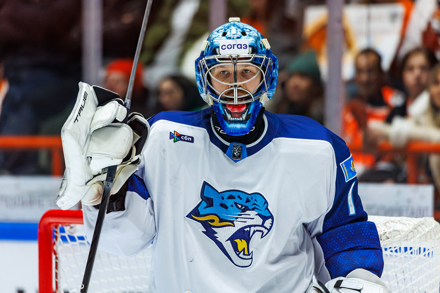 Состав Барыса на выезд