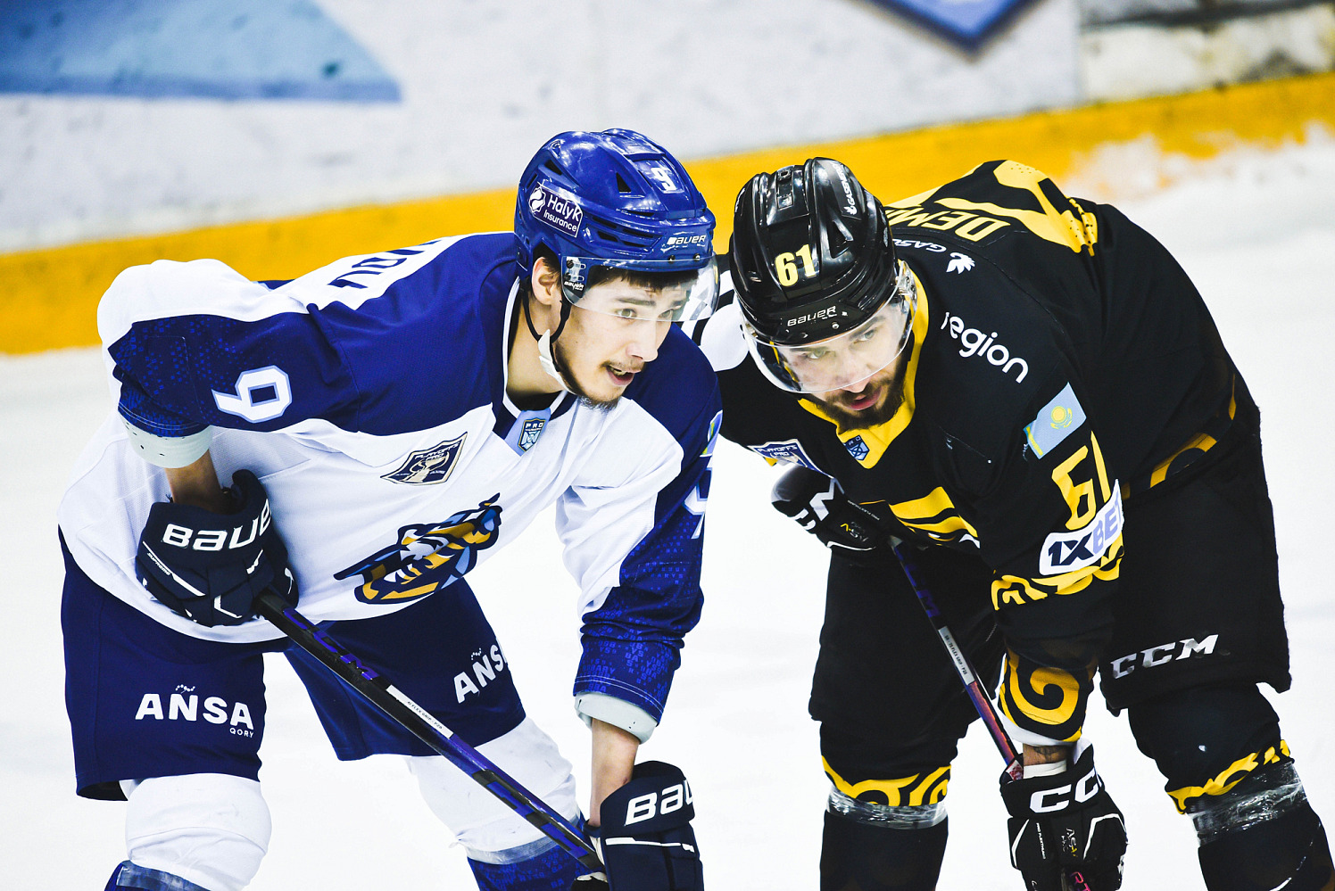 Сарыарка - Номад