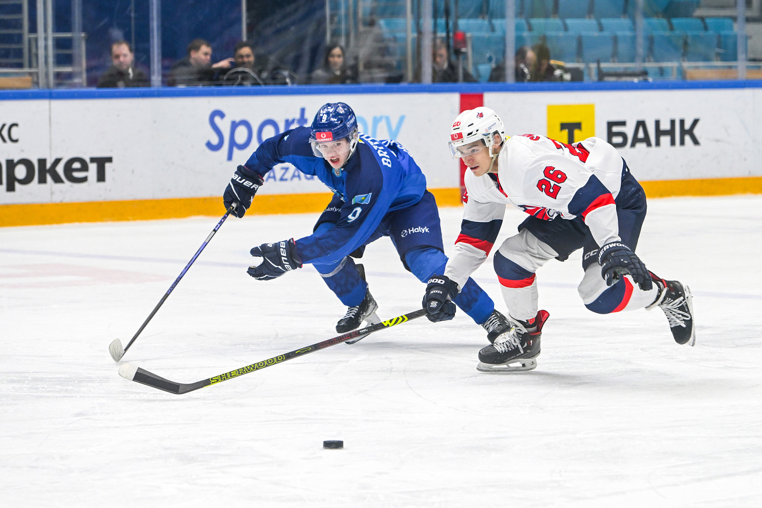 Снежные Барсы - Красноярские Рыси