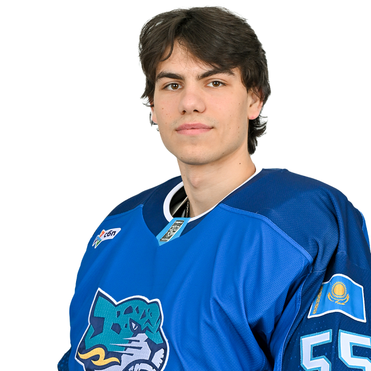 ВЛАДИМИР НИКИТИН