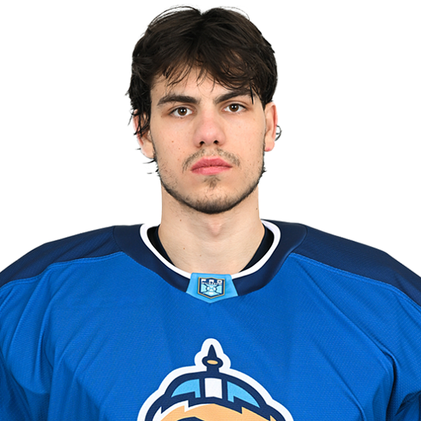 ВЛАДИМИР НИКИТИН