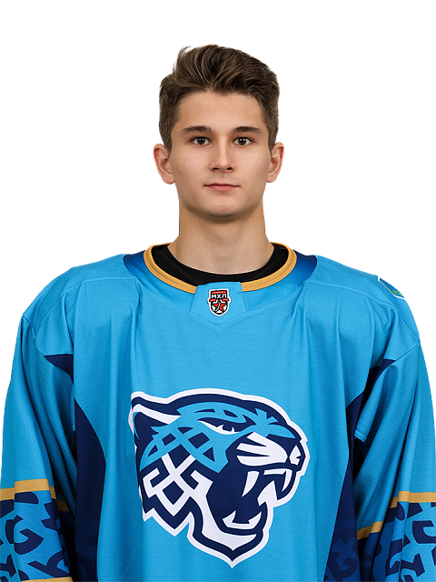ДАНИИЛ МЕДВЕДЕВ