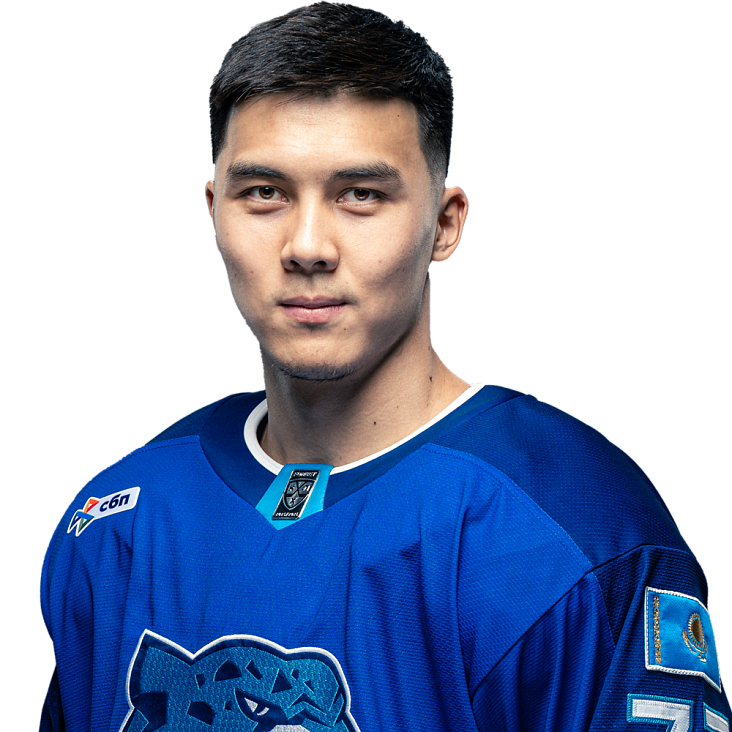 АНСАР ШАЙХМЕДДЕНОВ