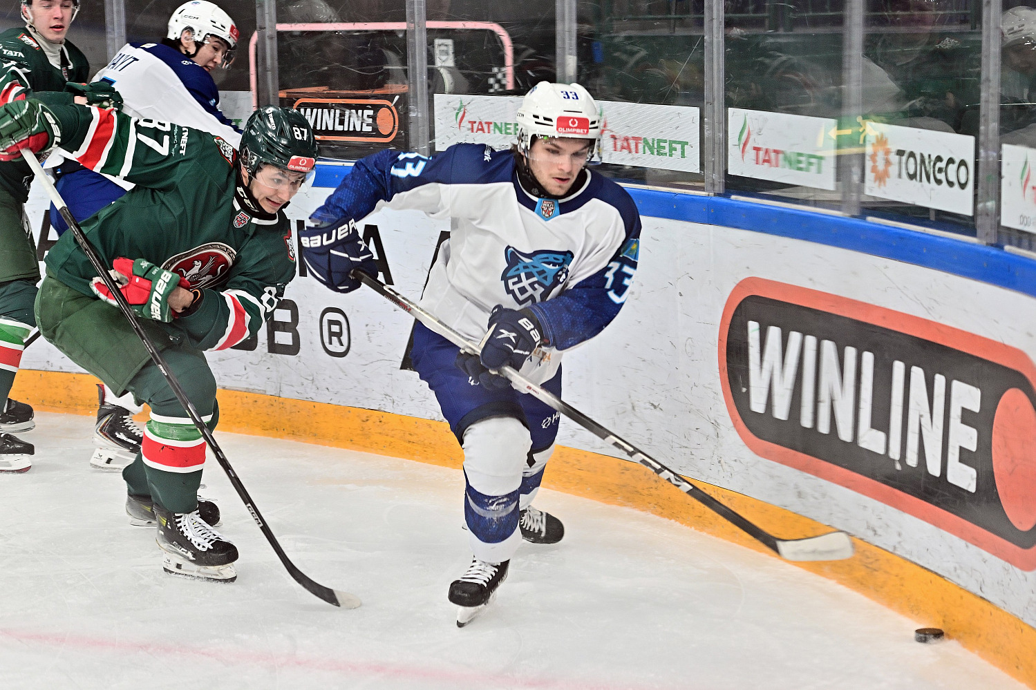 Ирбис - Снежные Барсы