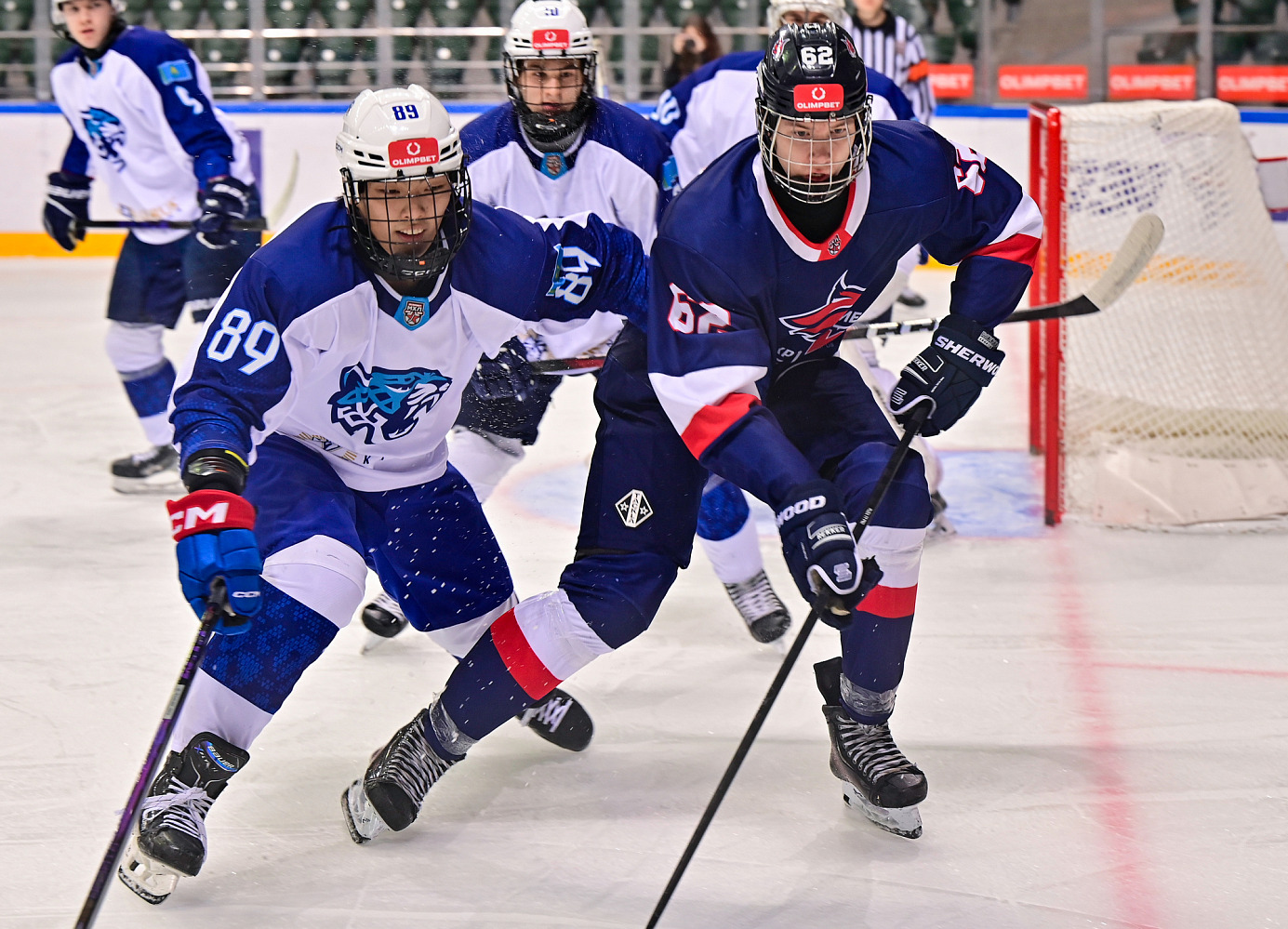 Красноярские Рыси - Снежные Барсы