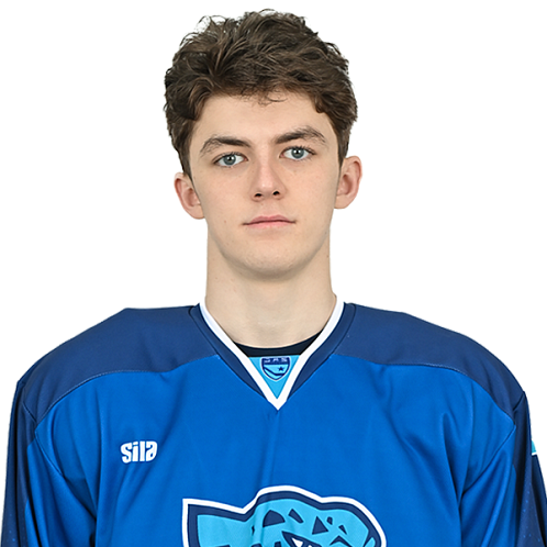 АМИР ГАФУРОВ