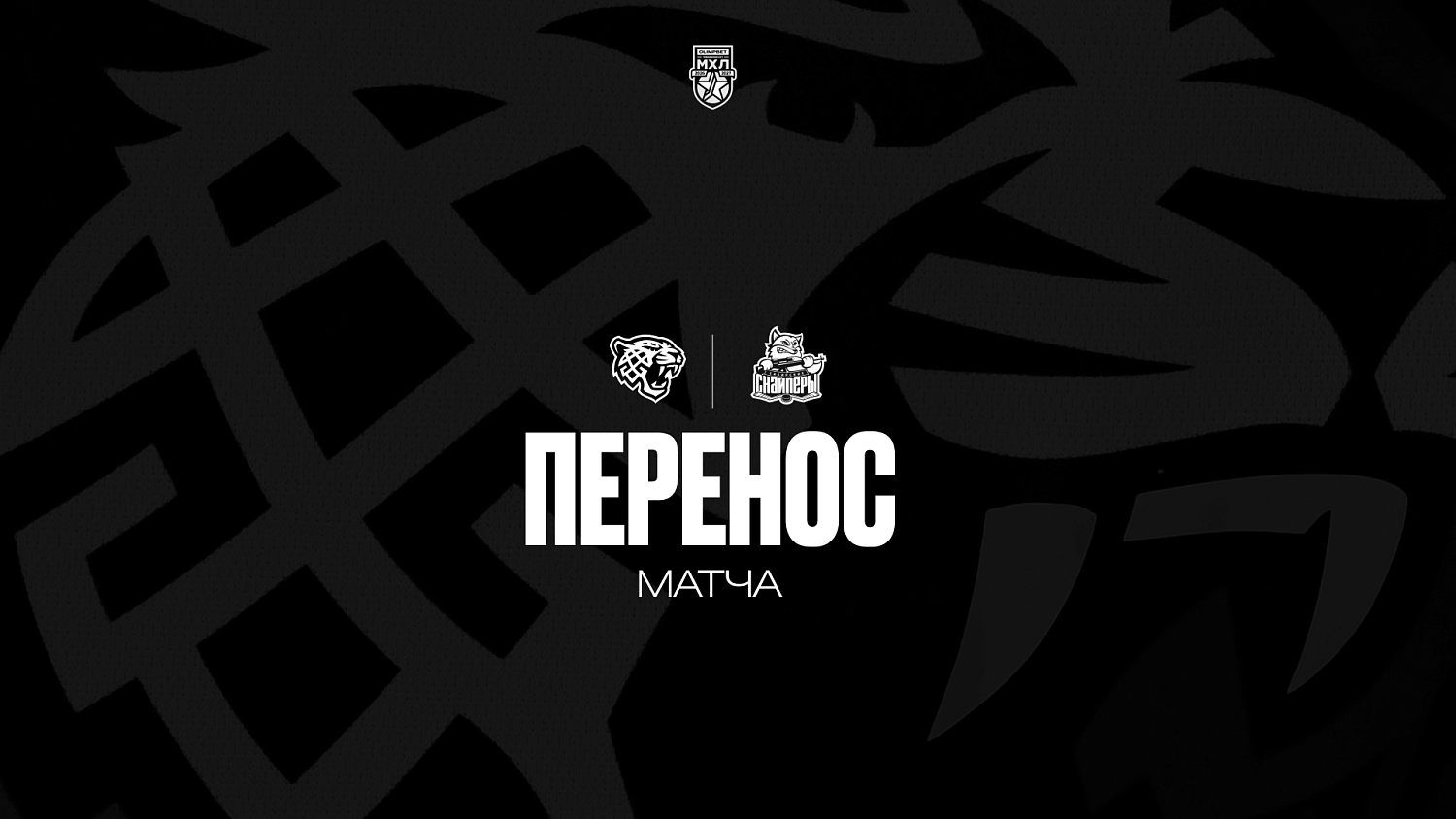 Матч Снежные Барсы – Сибирские Снайперы перенесён